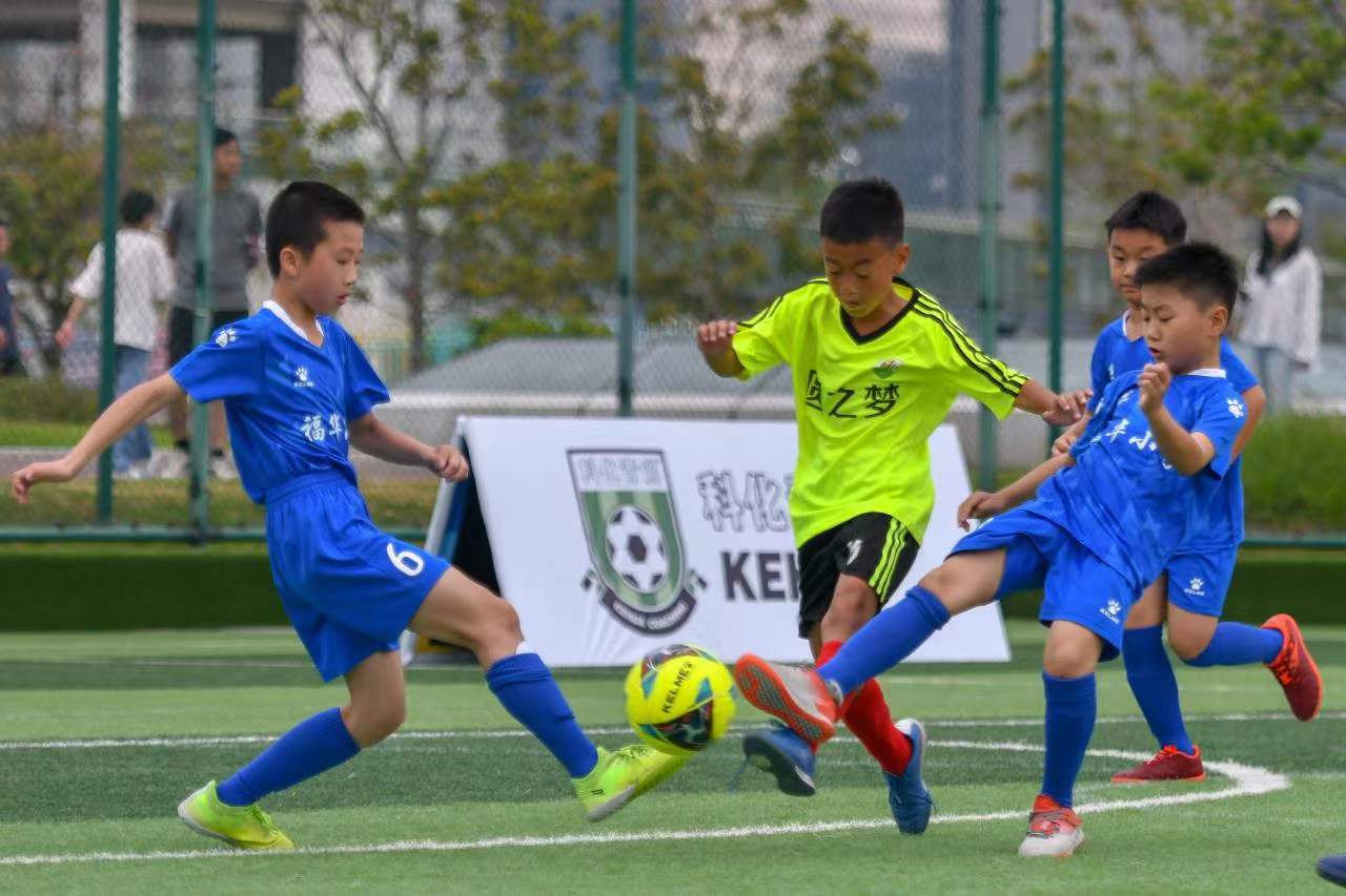 动员委员会 动员委员会