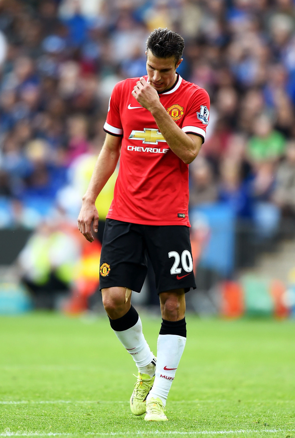 消费者就能 消费者就能